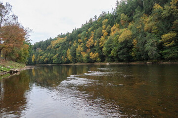 Fototapeta na wymiar autumn at the river