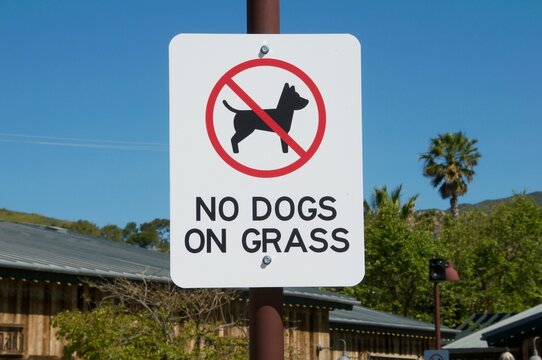 Sign saying no dogs on grass with picture of dog with line crossing it