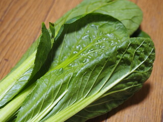 小松菜