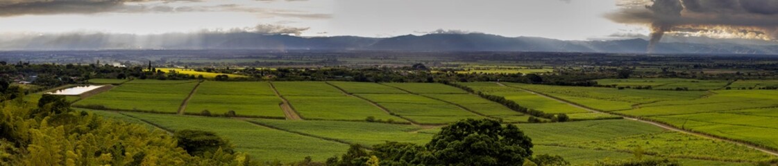 Fototapeta na wymiar Sugar cane field and the majestic mountains at the Valle del Cauca region in Colombia