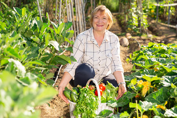 Positive mature woman posing with basket full of harvested vegetables and greens at smallholding