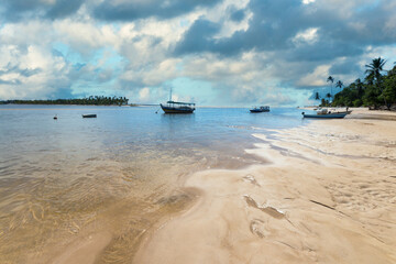 Fototapeta na wymiar Landscape with coconut palm beach on the island of Boipeba Bahia Brazil