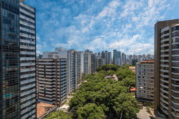 Obraz premium Aerial view of tree-lined avenue and buildings in the city of Salvador Bahia Brazil