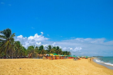 Gunga's Beach, Praia do Gunga,, a wild beach with clear waters and a lot of coconut trees. Alagoas,...