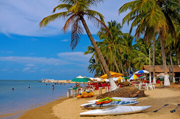 Gunga's Beach, Praia do Gunga,, a wild beach with clear waters and a lot of coconut trees. Alagoas, Brazil, Dez 2016