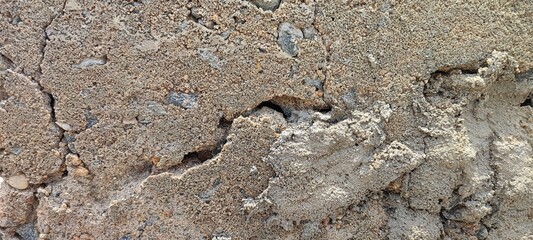 close up of a snake in the sand
