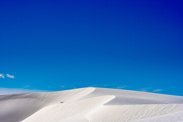 Fototapeta na wymiar Sand Dune Edge Snakes Through The Dune Field