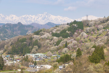 Fototapeta na wymiar mountain village in the mountains