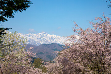 mount rushmore national park