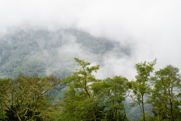 Fototapeta na wymiar very cloudy mountainous jungle landscape in colombia