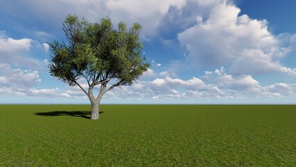 Fototapeta na wymiar Green grass hill field under blue sky. 3D illustration. 3D rendering.