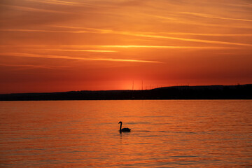 a beautiful twilight on the lake
