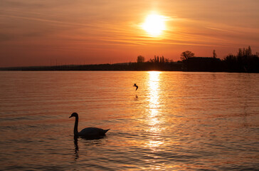 Landscape with a beautiful sunset on Balaton lake  - Hungary