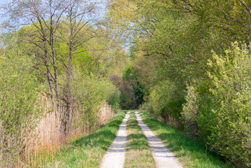 Landscape with a road in the area of Little Lake Balaton -Hungary
