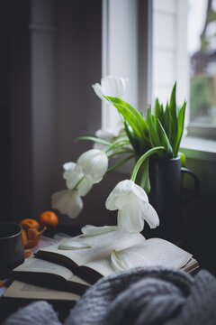 Vase of white tulip flowers with three open books, cup of tea and tangerines on a table next to a window on a rainy day.