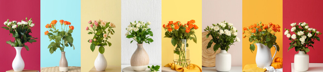 Vases with bouquets of beautiful roses on colorful background