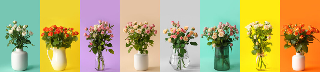 Vases with bouquets of beautiful roses on colorful background