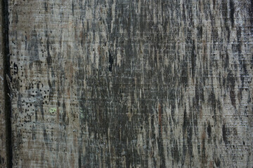 Rough Wooden surface close up. Wood texture. 