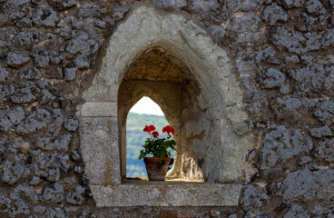 Fototapeta na wymiar A pot with a red flower in an old window