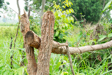 The fence is made of wood for separating the fields.