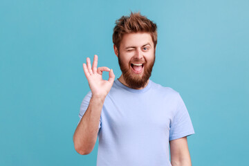 Portrait of bearded man showing okay sign, success sign, satisfied with good service, looking at...