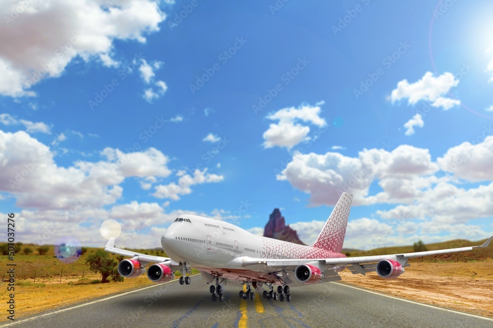 Wall mural A big airplane on road airport Russia