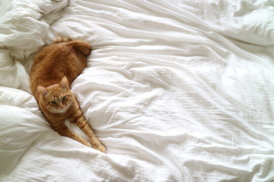 person in bed