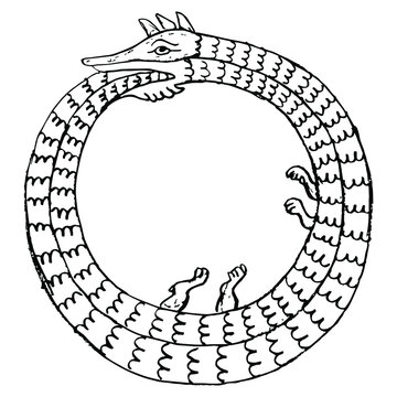 Ouroboros. Mythological snake eating its own tail. Medieval coiled serpent or dragon. Round animal frame. Illuminated manuscript style. Hand drawn linear doodle rough sketch. Black silhouette on white