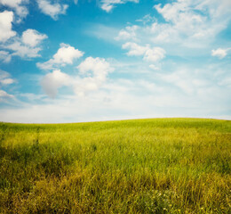 Obraz na płótnie Canvas beautiful summer fields
