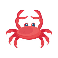 red crab animal