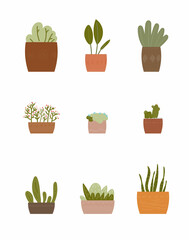 floral pot flat vector illustration set