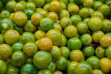 Yellow oranges placed on a shelf for sale within a market