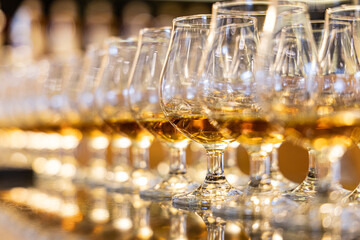 line of whisky glasses filled to taste the old brewed gold. distelery whiskey tasting