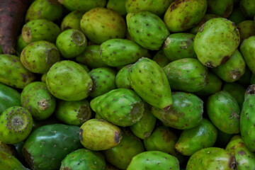 Tunas placed on a shelf for sale in a Marketplace