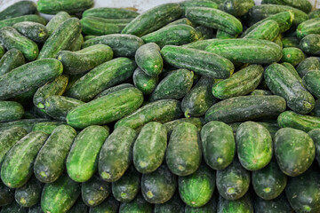 Baby cucumbers placed on a shelf for sale within a market