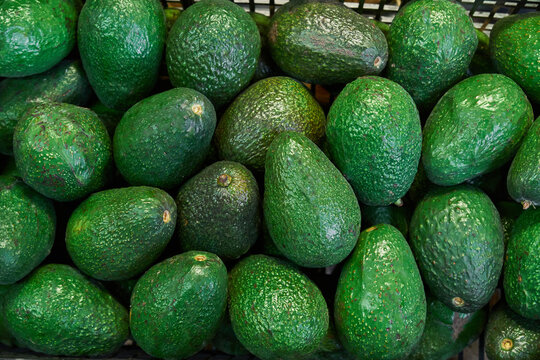 Avocados placed on a shelf for sale within a market