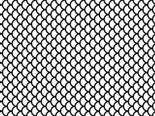 Fototapeta premium outline fish scale seamless pattern.hand drawing fish skin pattern