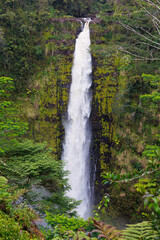 Akaka Falls