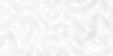 opographic background and texture, monochrome image. White wave paper curved reliefs abstract background. Vector tree rings seamless background, subtle pattern. topographic map background concept .