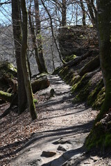 Wanderweg durch den Wald im Müllerthal (Mellerdal) in Luxemburg