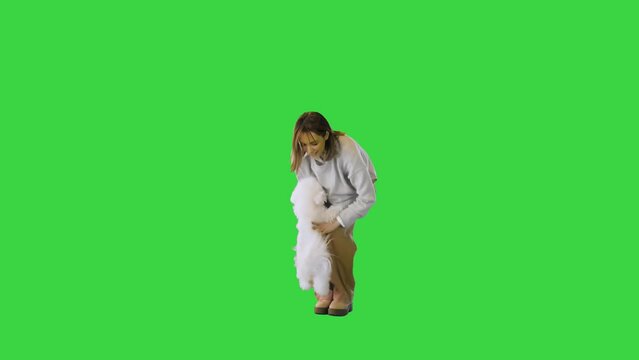 Woman lifting up jumping bichon frise on a Green Screen, Chroma Key.