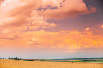Tractor Plowing Field In Spring Season. Sunset cllouds on background. copy space Beginning Of...