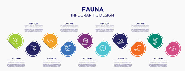 fauna concept infographic design template. included long haired dog head, hog head, plain bat, dog face, chiken head, tennis ball, unicorn, boar frog for abstract background.