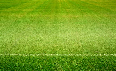 green football field