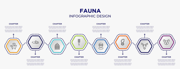 fauna concept infographic template with 8 step or option. included pet disease, gold fish, flea comb, water replenisher, rope toy, mouse head icons for abstract background.