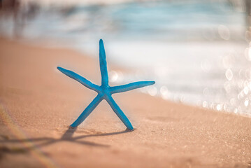 Fototapeta na wymiar sea ​​blue star on the sandy shore by the sea
