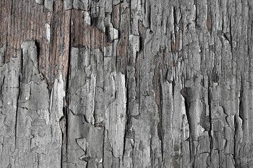 vertical wooden board, fence texture, old paint, cracks
