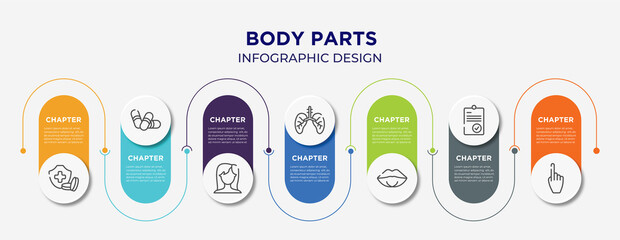 body parts concept infographic design template. included health insurance or hospital costs, pill capsule, brunette female woman long hair, lungs with the trachea, female mouth lips, positive