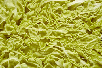 Cut of fresh Chinese cabbage, close-up. Fresh cabbage, vegetarian food ingredients.