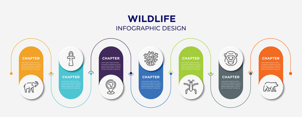 wildlife concept infographic design template. included safari, ankh, location pin, coral, gerridae, gorilla, carnivore icons for abstract background.
